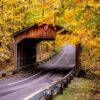 brown wooden house near yellow leaf trees during daytime