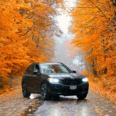 black 5-door hatchback on road between orange-leaf trees